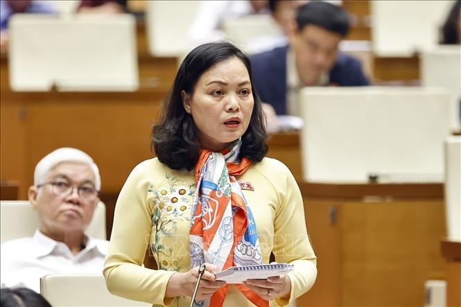Đại biểu Quốc hội TP Hồ Chí Minh Huỳnh Thị Phúc phát biểu. Ảnh: Doãn Tấn - TTXVN