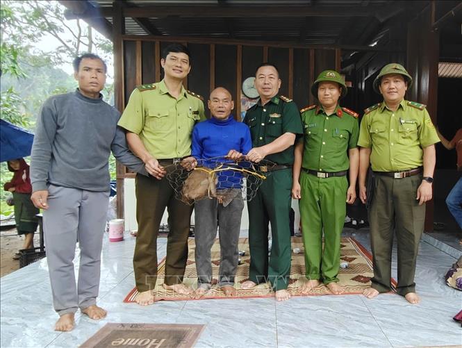 Người dân tự nguyện giao nộp cá thể khỉ đuôi lợn nhóm IIB cho các lực lượng chức năng. Ảnh: TTXVN phát