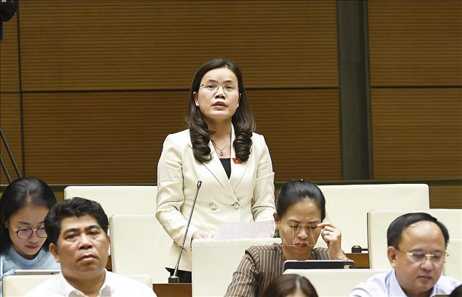 Đại biểu Quốc hội tỉnh Hưng Yên Vũ Hồng Luyến phát biểu. Ảnh: Doãn Tấn - TTXVN