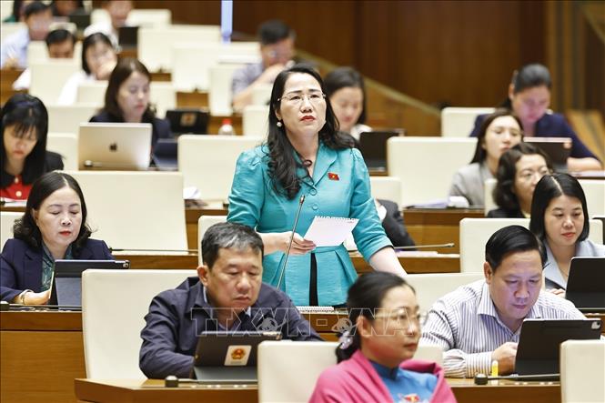 Đại biểu Quốc hội tỉnh Thái Nguyên Nguyễn Thị Thủy phát biểu. Ảnh: Doãn Tấn - TTXVN