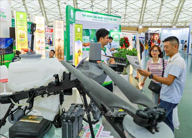 Khu vực các gian hàng tại không gian