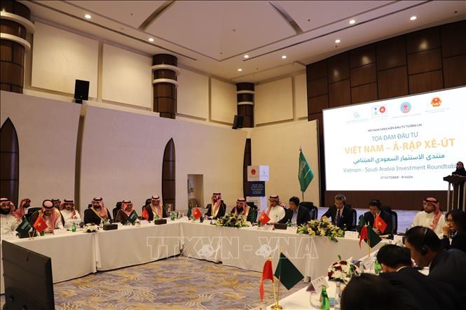 Phó Thủ tướng Nguyễn Chí Dũng chủ trì Tọa đàm Đầu tư Việt Nam - Ả rập Xê út. Ảnh: Nguyễn Trường - PV TTXVN từ Ả rập Xê út