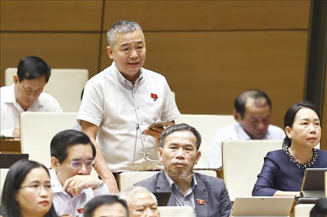 Đại biểu Quốc hội tỉnh Gia Lai Nguyễn Lân Hiếu phát biểu. Ảnh: Doãn Tấn - TTXVN