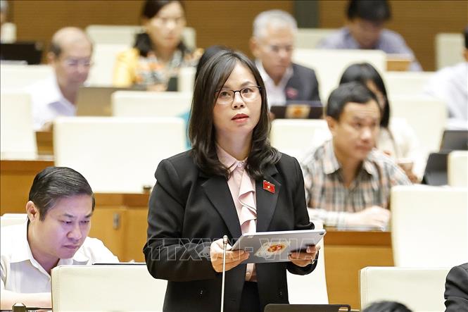 Đại biểu Quốc hội tỉnh Lạng Sơn Chu Thị Hồng Thái phát biểu. Ảnh: Doãn Tấn - TTXVN