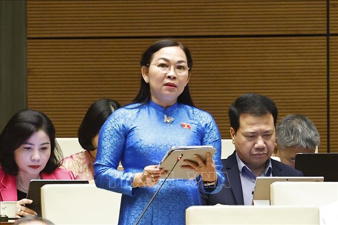 Đại biểu Quốc hội tỉnh An Giang Lý Anh Thư phát biểu. Ảnh: Doãn Tấn - TTXVN