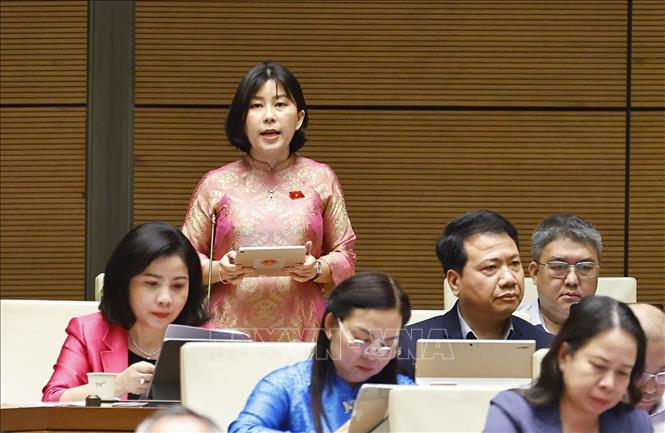 Đại biểu Quốc hội tỉnh Đắk Lắk Lê Đào An Xuân phát biểu. Ảnh: Doãn Tấn - TTXVN