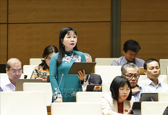 Đại biểu Quốc hội tỉnh An Giang Trần Thị Thanh Hương phát biểu. Ảnh: Doãn Tấn - TTXVN