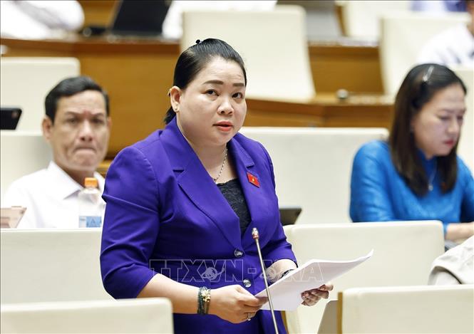 Đại biểu Quốc hội tỉnh Vĩnh Long Huỳnh Thị Hằng Nga phát biểu. Ảnh: Doãn Tấn - TTXVN