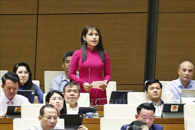 Đại biểu Quốc hội tỉnh An Giang Châu Quỳnh Dao phát biểu. Ảnh: Doãn Tấn - TTXVN