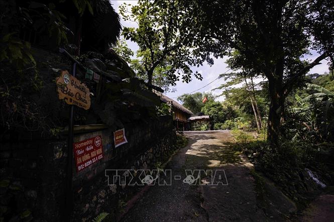 Các homestay tại bản Giang Mỗ đẹp và thân thiện với môi trường. Ảnh: Trọng Đạt-TTXVN