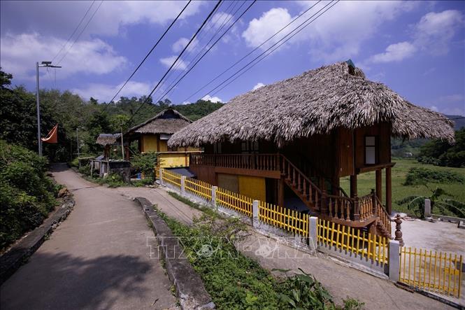 Điều làm nên linh hồn Giang Mỗ chính là những ngôi nhà sàn cổ hình con rùa – kiến trúc đặc trưng của người Mường. Ảnh: Trọng Đạt-TTXVN