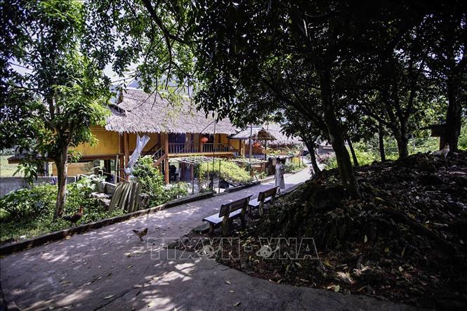 Xóm Mỗ hiện có 195 hộ dân với 735 nhân khẩu, trong đó người Mường chiếm đến 98%. Khoảng 30 hộ ở khu trung tâm đã đủ điều kiện đón khách du lịch, 14 hộ kinh doanh homestay. Ảnh: Trọng Đạt-TTXVN