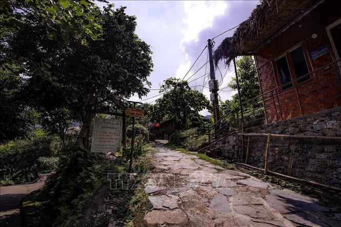 Xóm Mỗ hiện có 30 hộ ở khu trung tâm đã đủ điều kiện đón khách du lịch, 14 hộ kinh doanh homestay. Ảnh: Trọng Đạt-TTXVN