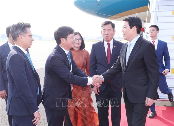 Đại biểu đón Chủ tịch nước Lương Cường tại sân bay quân sự Gimhae ở thành phố Busan (Hàn Quốc). Ảnh: Lâm Khánh - TTXVN