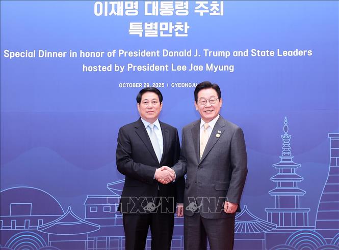 President Luong Cuong is greeted by RoK President Lee Jae Myung. VNA Photo: Lâm Khánh 