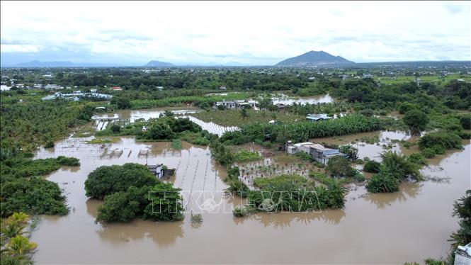 Nhiều nhà cửa, hoa màu của người dân phường Hàm Thắng (Lâm Đồng) bị ngập sâu trong nước lũ. Ảnh: Nguyễn Thanh - TTXVN
