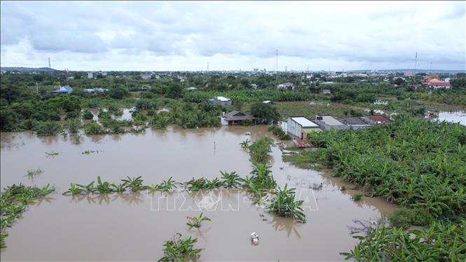 Nhiều nhà cửa, hoa màu của người dân phường Hàm Thắng (Lâm Đồng) bị ngập sâu trong nước lũ. Ảnh: Nguyễn Thanh - TTXVN
