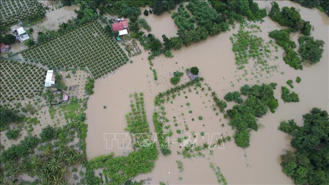 Nhiều nhà cửa, hoa màu của người dân phường Hàm Thắng (Lâm Đồng) bị ngập sâu trong nước lũ. Ảnh: Nguyễn Thanh - TTXVN