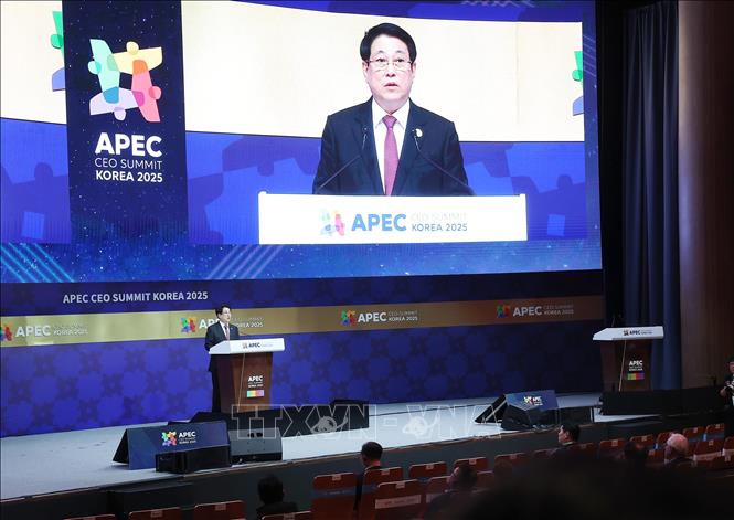 Chủ tịch nước Lương Cường phát biểu tại Hội nghị Thượng đỉnh Doanh nghiệp APEC 2025. Ảnh: Lâm Khánh – TTXVN