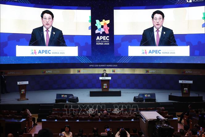 President Luong Cuong addresses the APEC CEO Summit. VNA Photo: Lâm Khánh