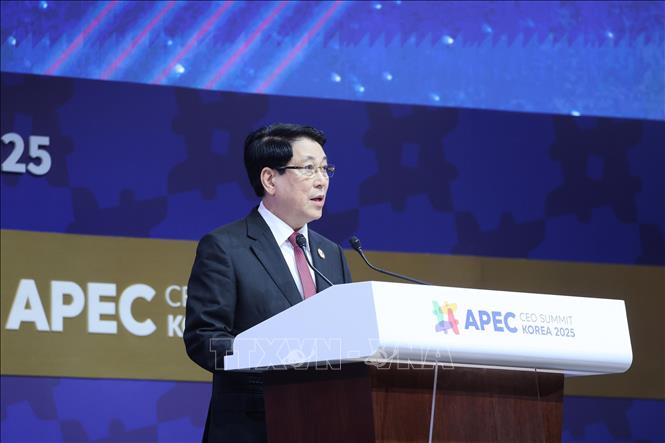 President Luong Cuong addresses the APEC CEO Summit. VNA Photo: Lâm Khánh