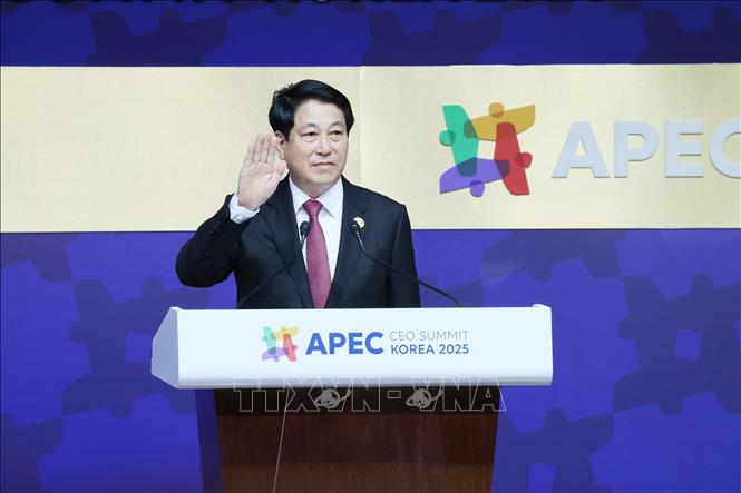 President Luong Cuong attends the APEC CEO Summit. VNA Photo: Lâm Khánh