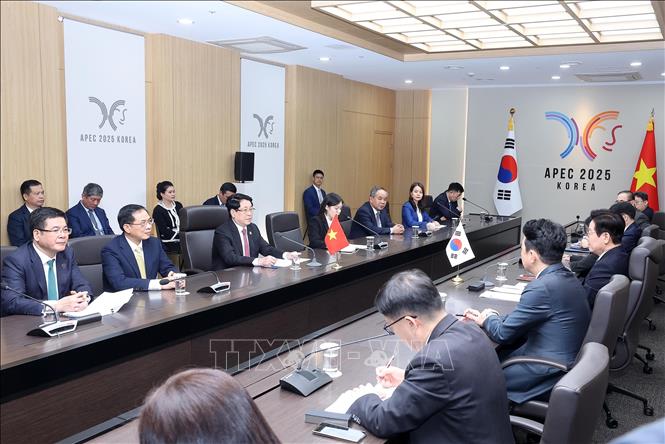 Chủ tịch nước Lương Cường hội đàm với Tổng thống Hàn Quốc Lee Jae Myung. Ảnh: Lâm Khánh – TTXVN