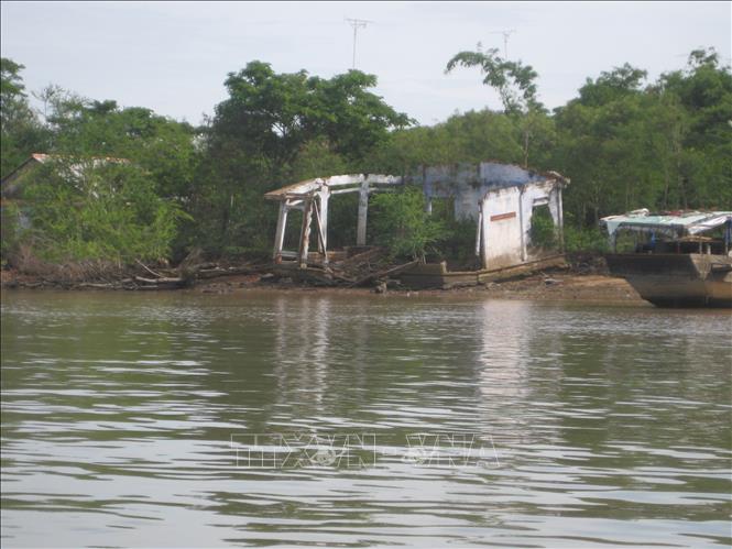 Triều cường gây sạt lở bờ sông Hàm Luông (xã An Hiệp, tỉnh Vĩnh Long) làm nhà của người dân bị sập đổ. Ảnh: TTXVN phát