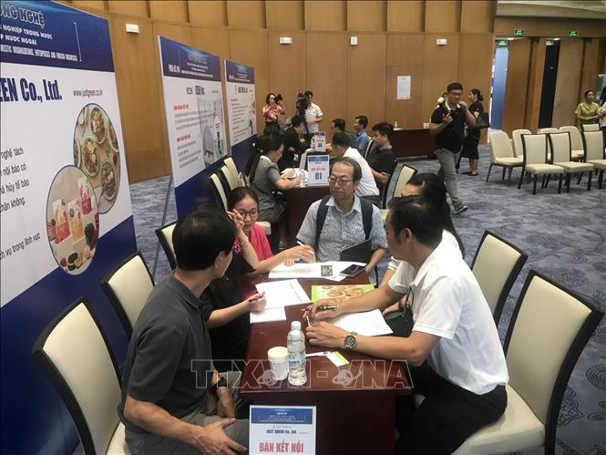 Các đại biểu kết nối cung cầu tại ngày hội chuyển đổi số và đổi mới sáng tạo thành phố Hải Phòng năm 2025. Ảnh: Tiến Vĩnh – TTXVN