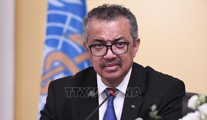 Ngày 29/10/2025, Tổ chức Y tế Thế giới (WHO) và Hội đồng bảo an Liên hợp quốc (HĐBA LHQ) bày tỏ kinh hoàng và phẫn nộ trước vụ thảm sát hơn 460 bệnh nhân cùng thân nhân của họ tại Bệnh viện Phụ sản Saudi, cơ sở y tế cuối cùng đang hoạt động bán phần ở thành phố El-Fasher, miền Tây Sudan. Ảnh: Tổng Giám đốc WHO Tedros Adhanom Ghebreyesus. Ảnh: THX/TTXVN