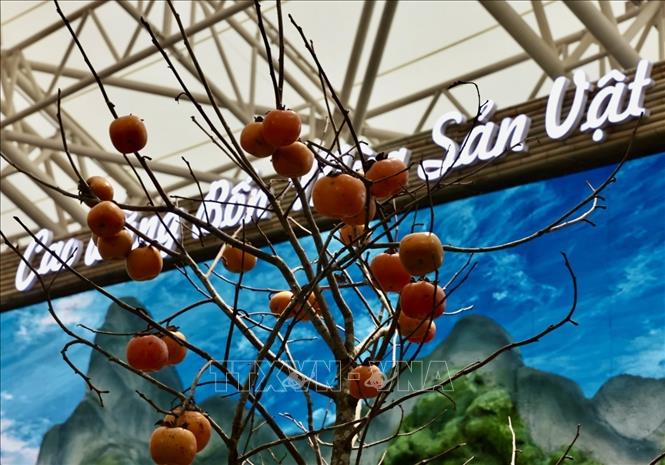 Gian trưng bày sản phẩm đặc trưng của Cao Bằng. Ảnh: Trần Việt - TTXVN 