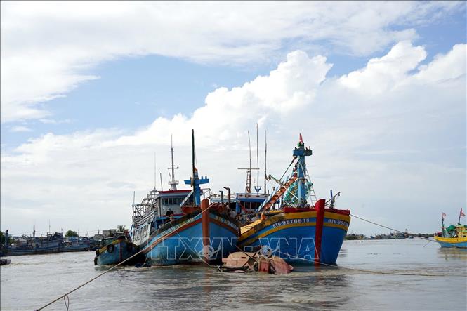 Đồn biên phòng Thanh Hải cùng lực lượng hỗ trợ dùng thêm nhiều tàu lớn để giữ không cho nước cuốn trôi tàu cá BTh 8077 TS. Ảnh: Nguyễn Thanh - TTXVN  