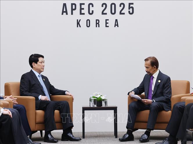 Chủ tịch nước Lương Cường gặp Quốc vương Brunei Hassanal Bolkiah. Ảnh: Lâm Khánh – TTXVN