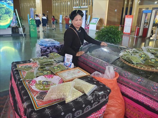 Các sản phẩm cốm và nông sản của tỉnh Tuyên Quang trưng bày tại Hội chợ Mùa Thu lần thứ nhất - 2025 ở Trung tâm Hội chợ Triển lãm quốc gia (Đông Anh, Hà Nội) từ 25/10-04/11/2025. Ảnh: Nguyễn Trọng Lịch- TTXVN