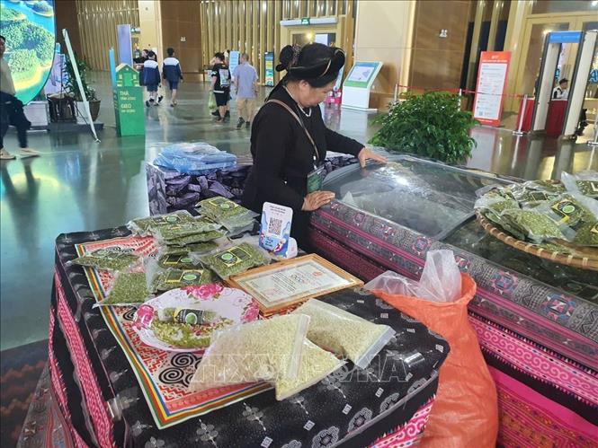 Các sản phẩm cốm và nông sản của tỉnh Tuyên Quang trưng bày tại Hội chợ Mùa Thu lần thứ nhất - 2025 ở Trung tâm Hội chợ Triển lãm quốc gia (Đông Anh, Hà Nội) từ 25/10-04/11/2025. Ảnh: Nguyễn Trọng Lịch- TTXVN