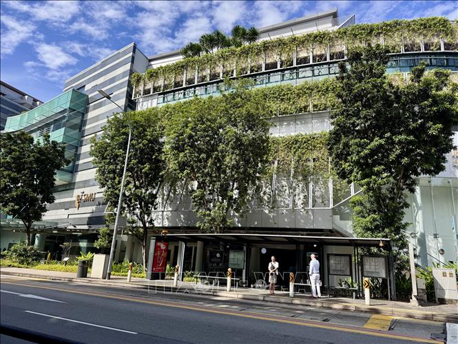 Các tòa nhà xanh góp phần giảm lượng nước mưa gây ngập lụt. Ảnh: Đỗ Vân - PV TTXVN tại Singapore