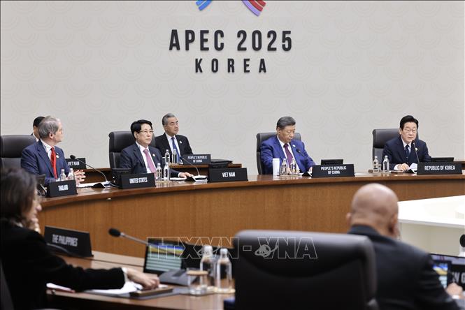 Chủ tịch nước Lương Cường dự Phiên họp thứ 2 Hội nghị Cấp cao APEC lần thứ 32. Ảnh: Lâm Khánh - TTXVN