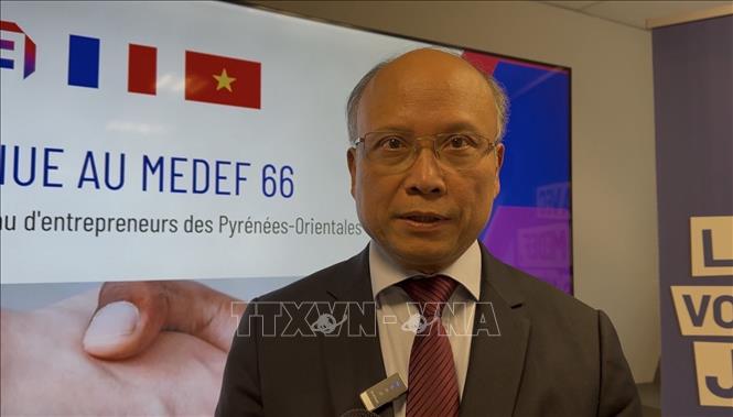 Đại sứ Việt Nam tại Pháp Đinh Toàn Thắng trả lời phỏng vấn trong chuyến làm việc với Hiệp hội Doanh nghiệp Pháp. Ảnh: Đào Dũng - Phòng viên TTXVN tại Pháp