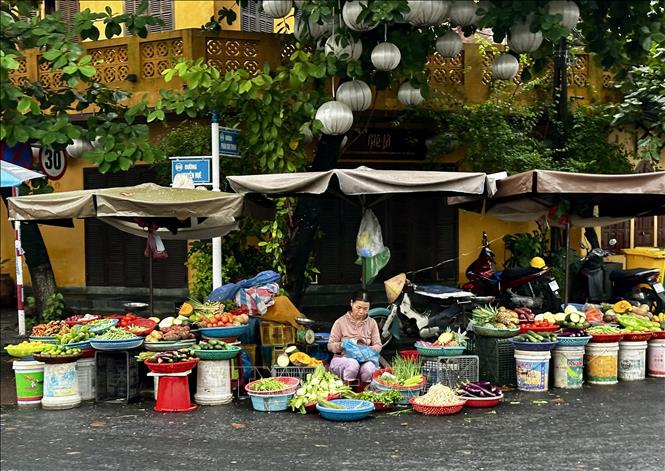 Một góc chợ với đủ loại thực phẩm rau củ quả được bày bán ở phố cổ Hội An. Ảnh: Trần Lê Lâm - TTXVN 