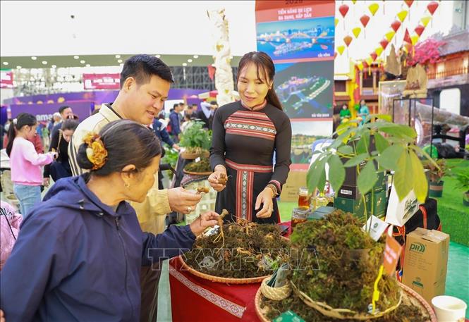 Hội chợ mùa Thu 2025 thu hút đông đảo người dân và du khách mua sắm và tham quan. Ảnh: Khánh Hoà - TTXVN