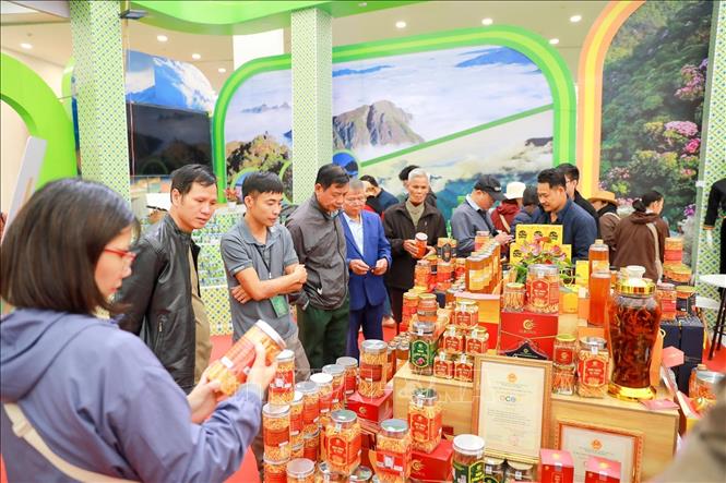 Người dân mua sắm tại Hội chợ mùa Thu 2025. Ảnh: Khánh Hoà - TTXVN