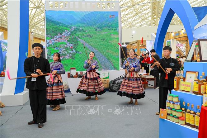 Đồng bào dân tộc Mông (tỉnh Lào Cai) trình diễn điệu múa truyền thống. Ảnh: Khánh Hoà - TTXVN