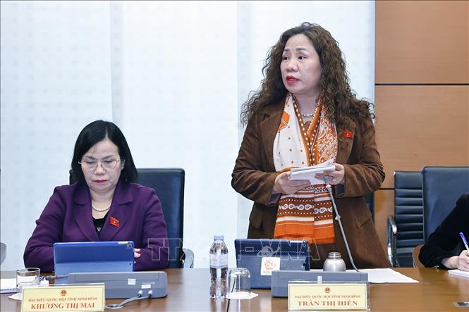 Đại biểu Quốc hội tỉnh Ninh Bình Trần Thị Hiền phát biểu. Ảnh: Doãn Tấn - TTXVN