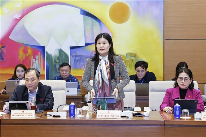 Đại biểu Quốc hội tỉnh Hà Tĩnh Bùi Thị Quỳnh Thơ phát biểu. Ảnh: Doãn Tấn - TTXVN