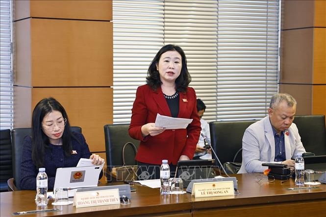 Đại biểu Quốc hội tỉnh Tây Ninh Lê Thị Song An phát biểu. Ảnh: Doãn Tấn - TTXVN