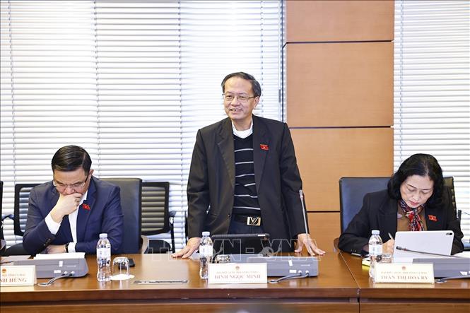 Đại biểu Quốc hội tỉnh Cà Mau Đinh Ngọc Minh phát biểu. Ảnh: Doãn Tấn - TTXVN