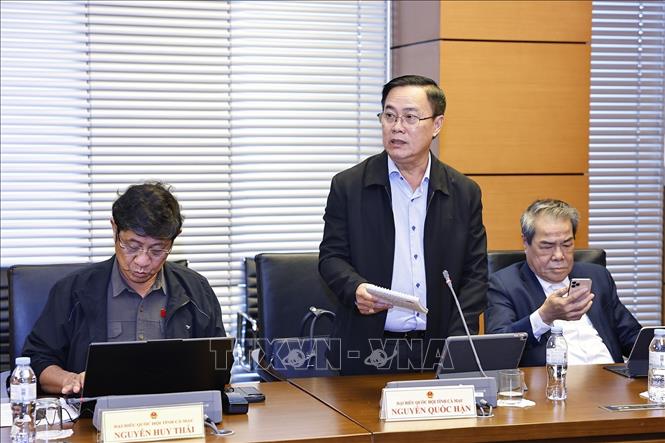 Đại biểu Quốc hội tỉnh Cà Mau Nguyễn Quốc Hận phát biểu. Ảnh: Doãn Tấn - TTXVN