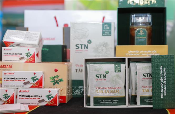 Sản phẩm sạch có nguồn gốc thiên nhiên từ núi rừng Tây Nguyên tại Hội chợ mùa Thu thu hút đông đảo du khách. Ảnh: Phan Phương – TTXVN