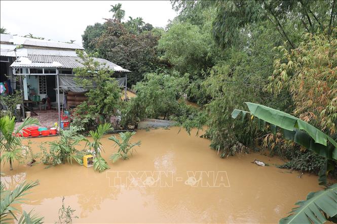 Nước trên sông Vĩnh Điện(một nhánh của sông Thu Bồn) dâng cao ngập vào nhà dân, phường An Thắng. Ảnh: Anh Dũng - TTXVN