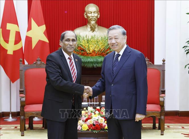 Tổng Bí thư Tô Lâm tiếp Đại sứ Singapore Jaya Ratnam đến chào từ biệt, kết thúc nhiệm kỳ công tác tại Việt Nam. Ảnh: Thống Nhất- TTXVN
